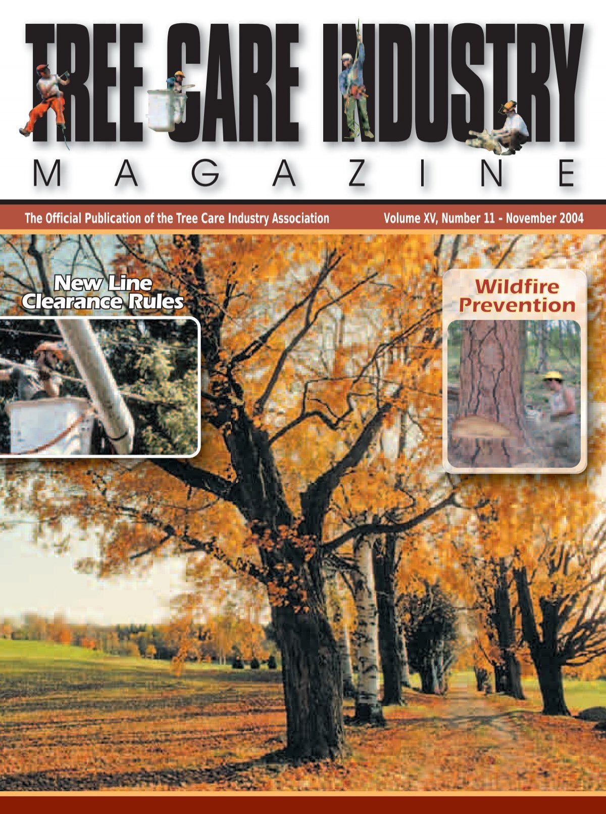 Tree Round - Ash Large 12 - Outsource Solutions LLC