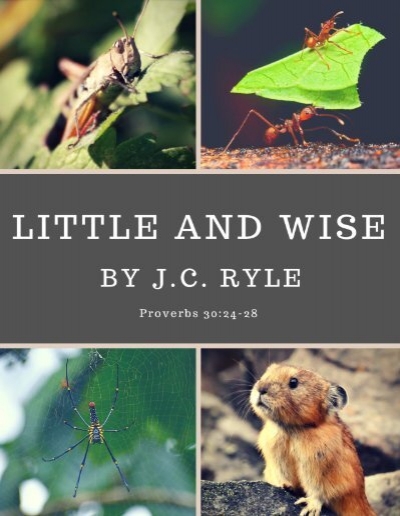 Little and Wise by Rev. J.C. Ryle