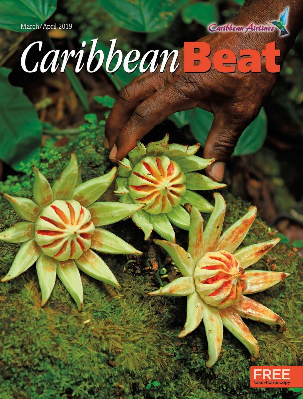 Caribbean Beat March April 2019 156