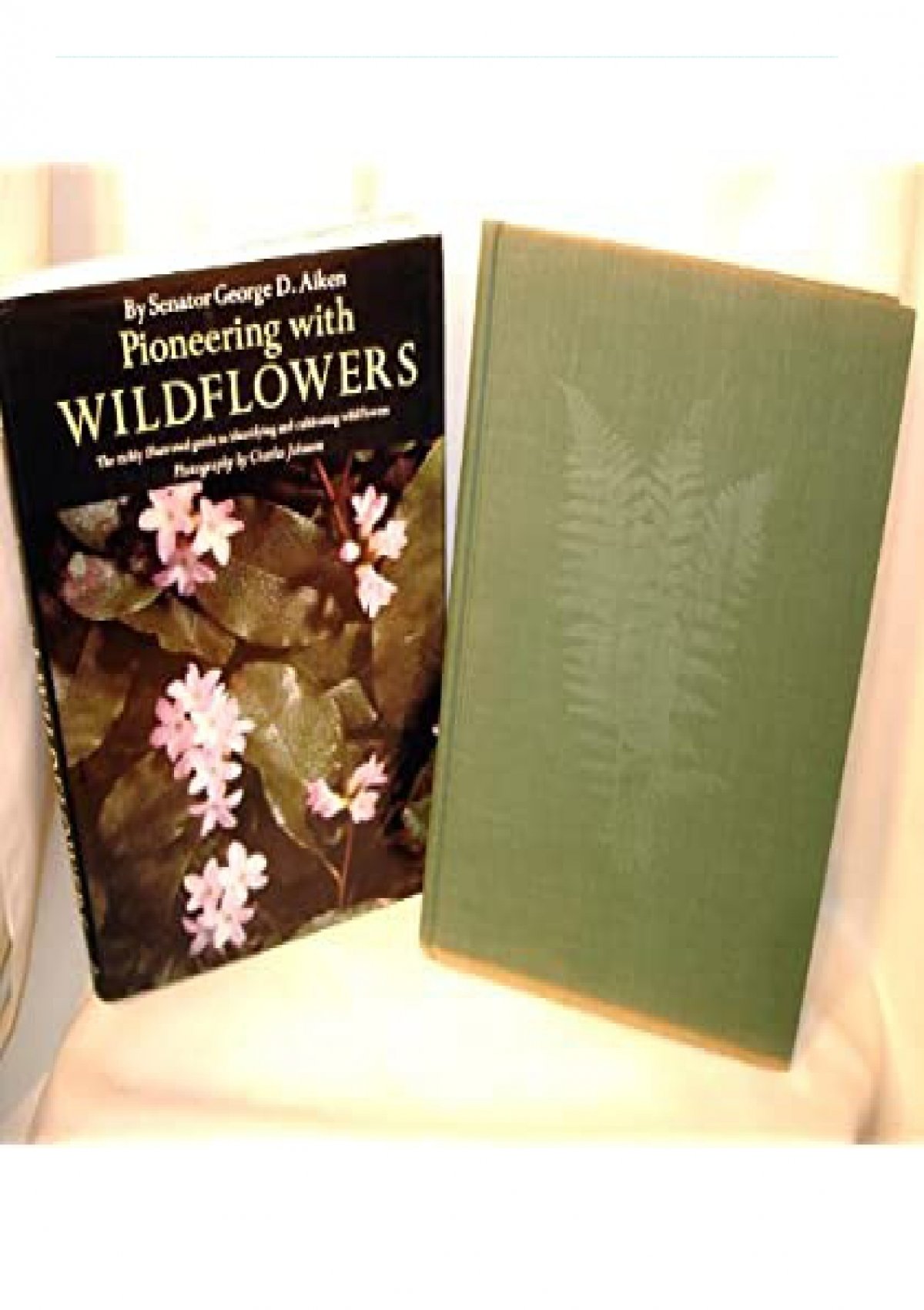 Download Pioneering with wildflowers, Full