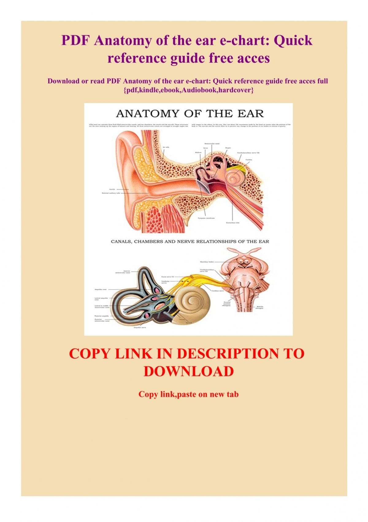Pdf Anatomy Of The Ear E Chart Quick Reference Guide Free Acces