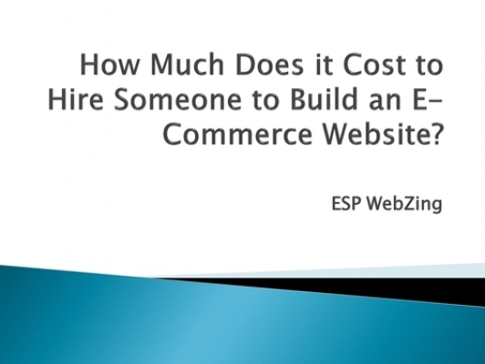 How Much Does it Cost to Hire Someone to Build an E-Commerce Website