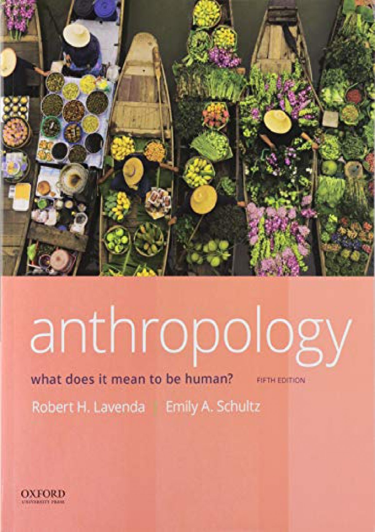 Download Book [PDF] Anthropology: What Does it Mean to Be Human?
