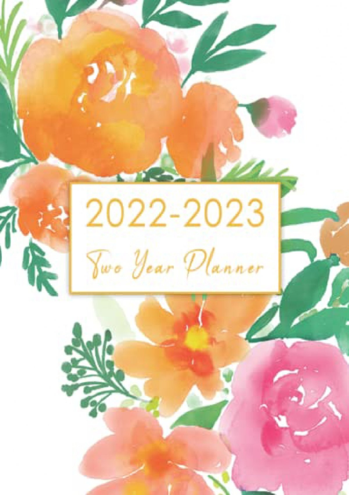 Download Pdf 2022 2023 Two Year Planner Watecolor Flower 2 Year 