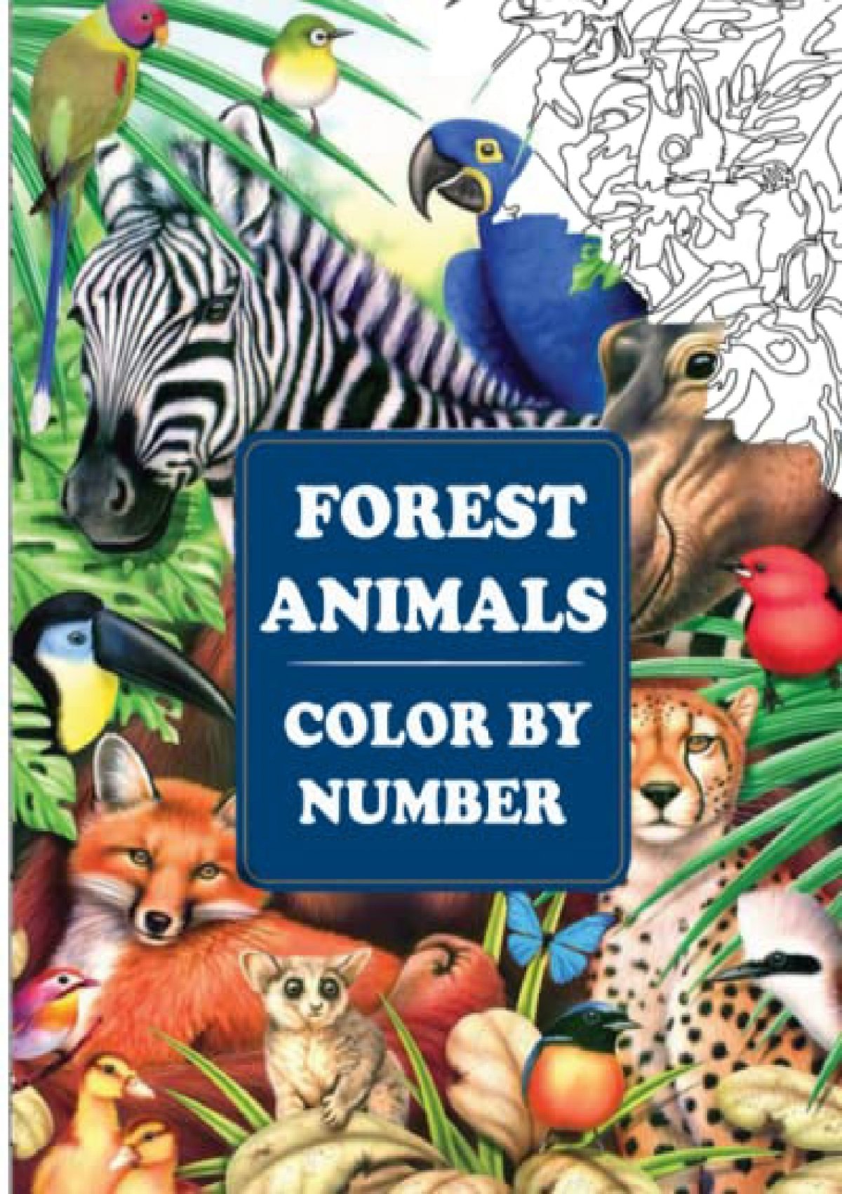 downloadpdf-forest-animals-color-by-number-an-adult-coloring-book-with-fun-easy-and-relaxing