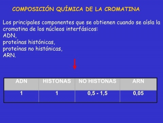 Composicion Quimica De La Cromatina