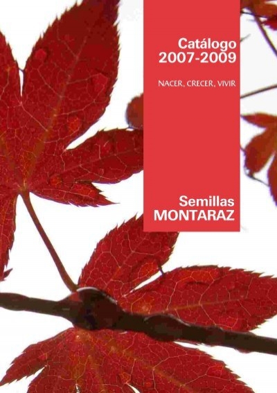 Cilios margen Claire material forestal de reproducción - Semillas Montaraz