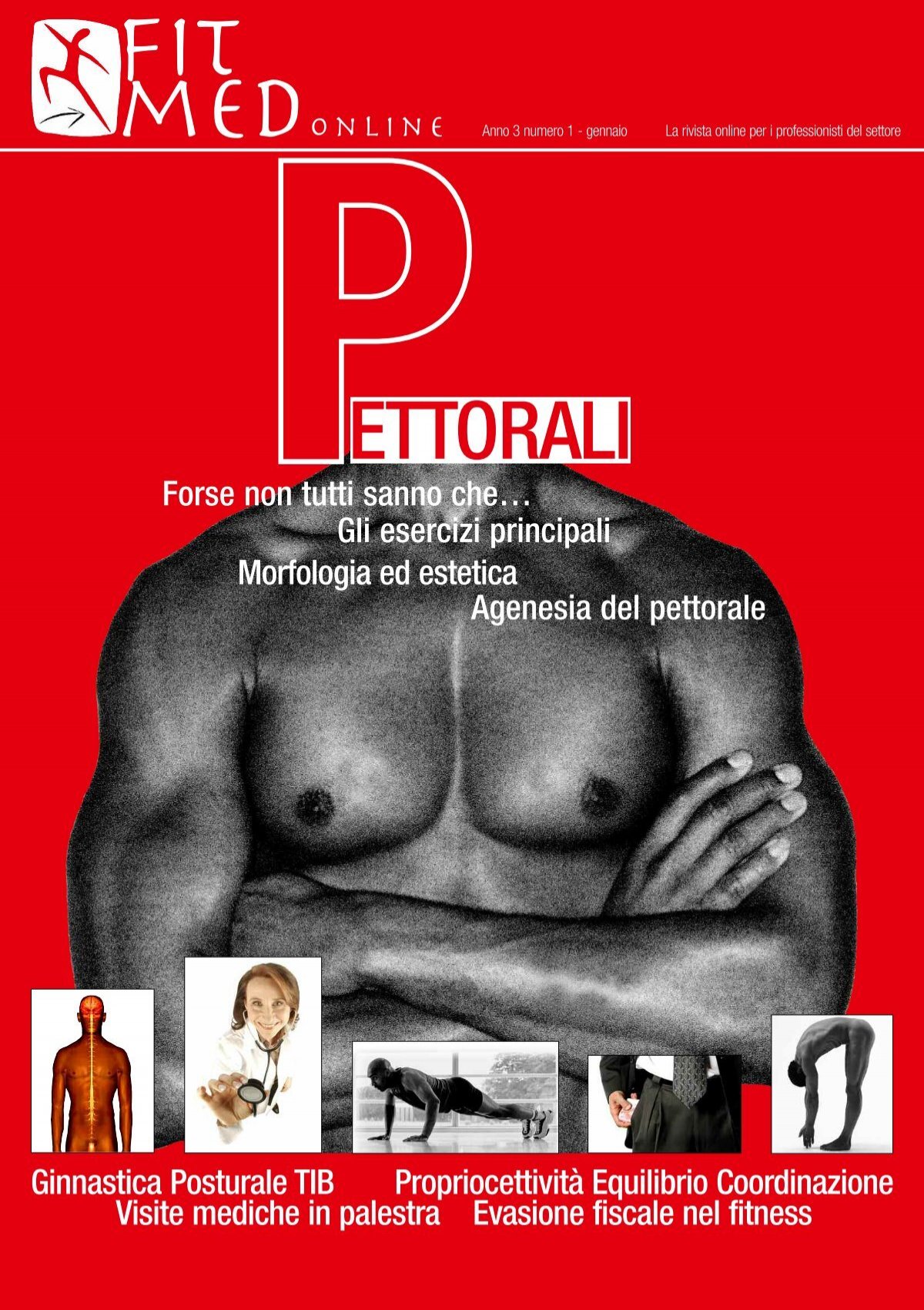 Diario di allenamento: Diario di allenamento bodybuilding e fitness | Libro  fitness per la pianificazione dell'allenamento | Quaderno palestra 120