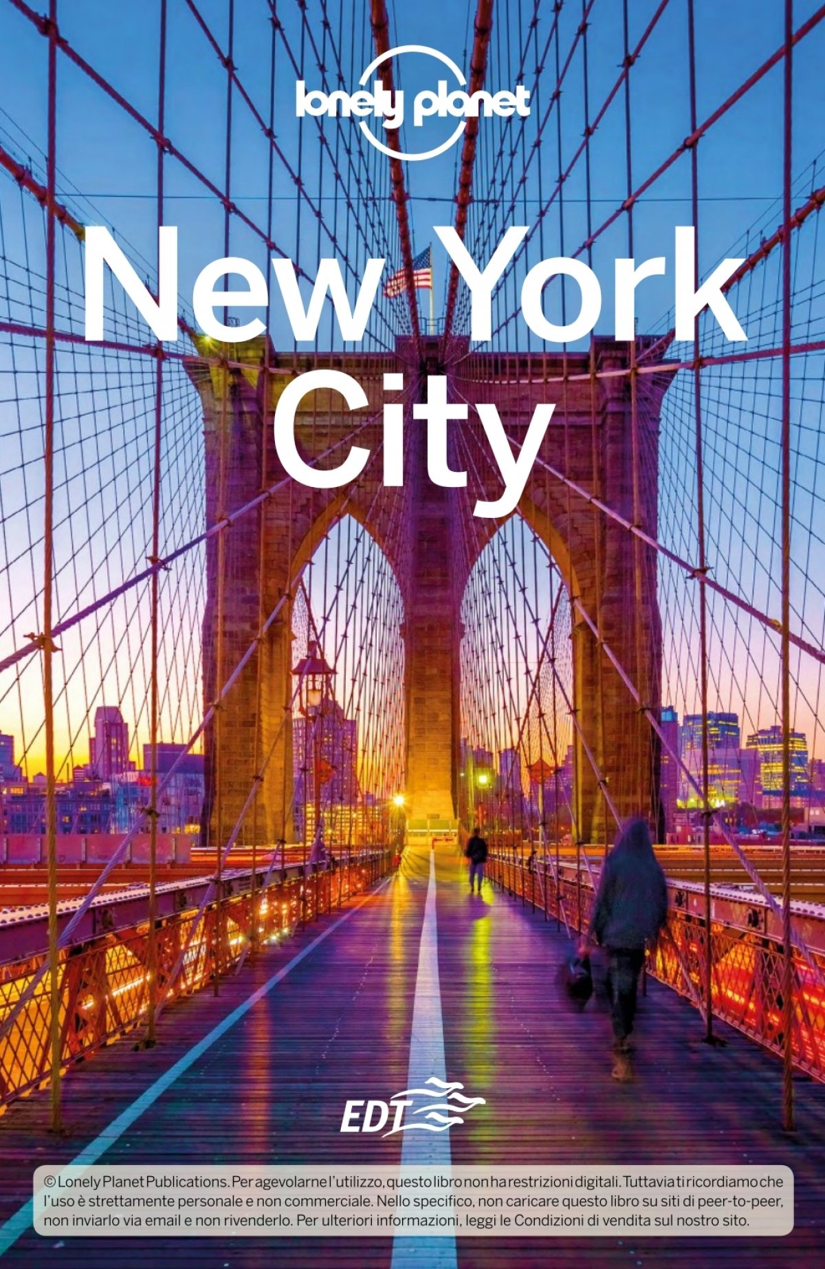 New York City - Lonely Planet - nov 18