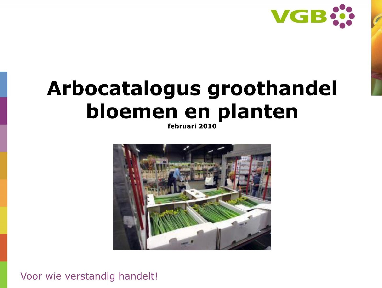 Toestand strelen Zelfgenoegzaamheid Arbocatalogus groothandel bloemen en planten - VGB