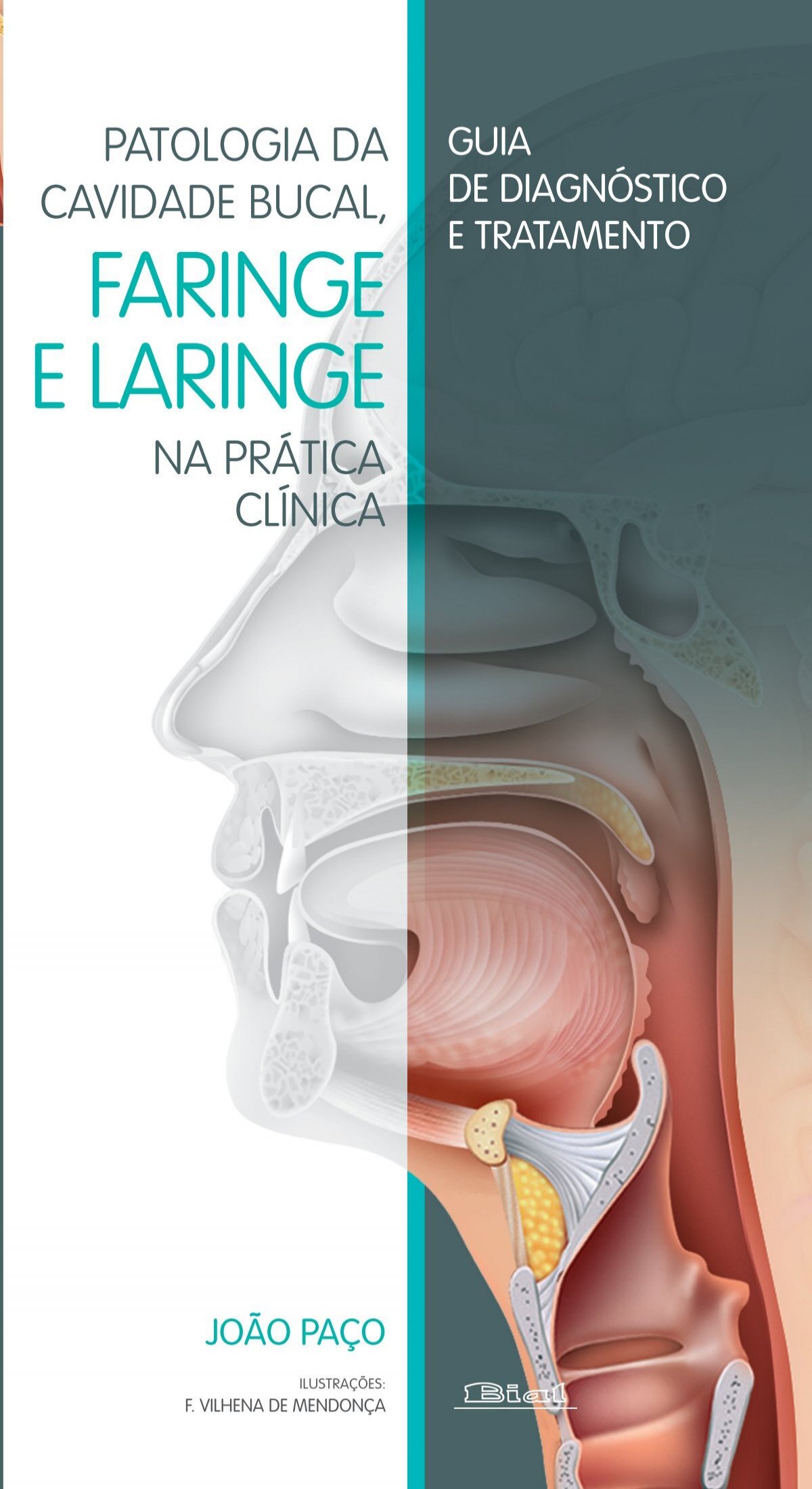 Partes Do Corpo Humano - Imprimir Caça Palavras, PDF, Órgão (anatomia)