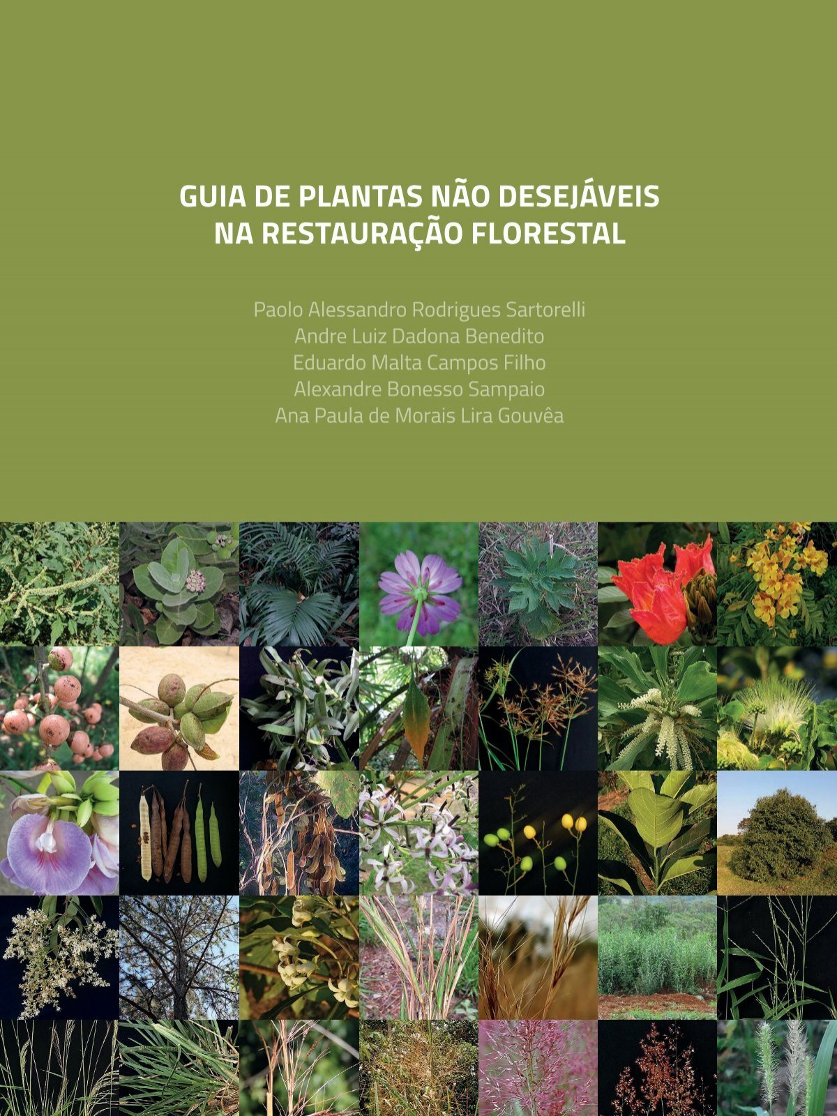 Guia de Plantas da Regeneração Natural do Cerrado e da Mata