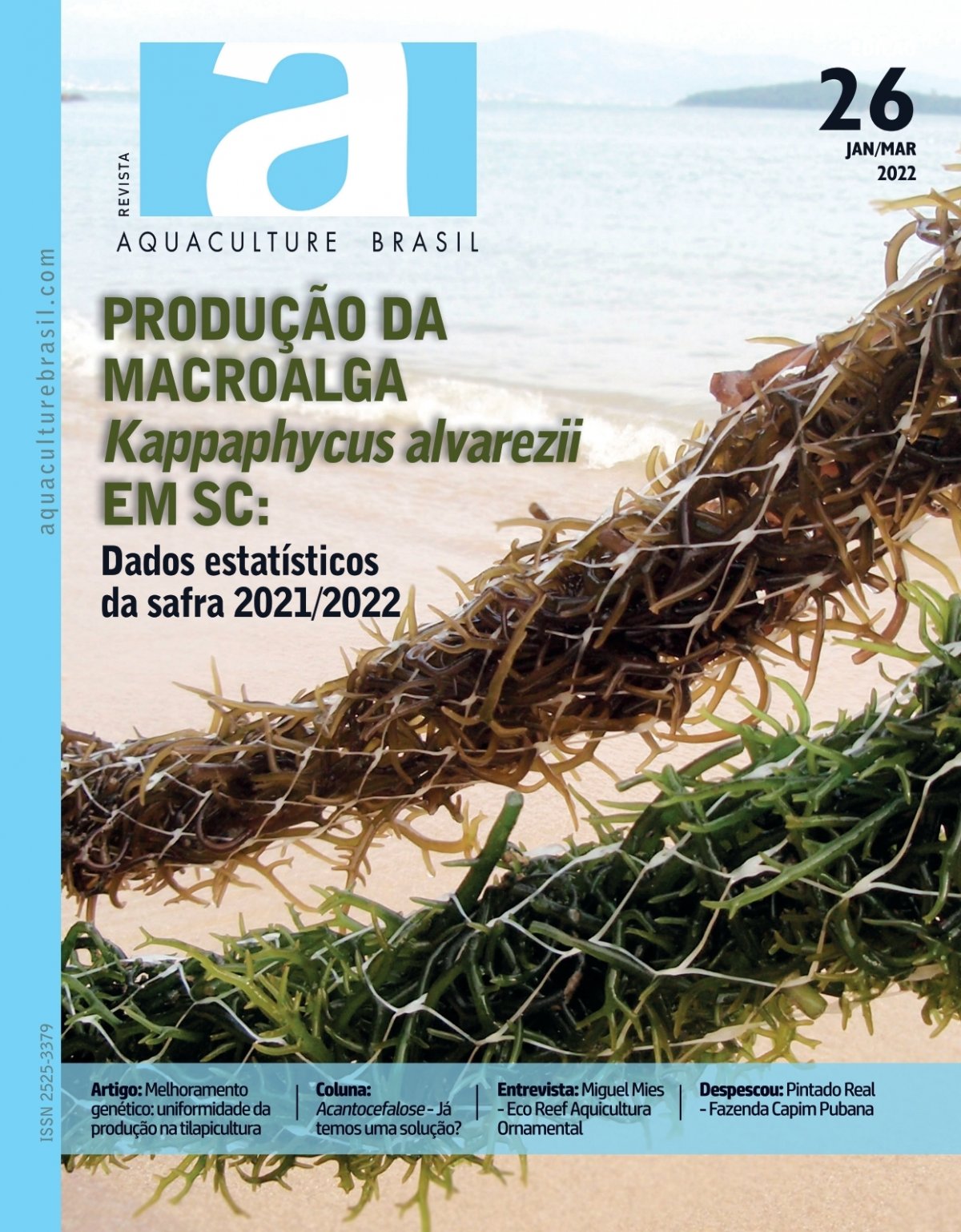 Teste identifica sexo de pirarucu e tambaqui para auxiliar na formação de  plantéis - Notícias - Aquaculture Brasil - O maior portal brasileiro sobre  aquicultura