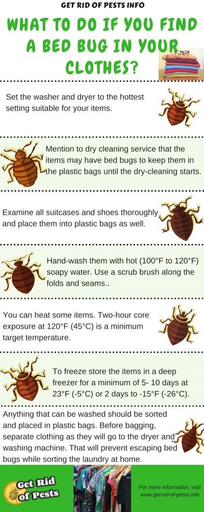 What-to-do-if-you-find-a-bed-bug-in-your-clothes_