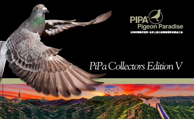 PIPA Collectors Edition V Chinese